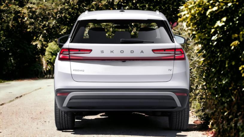 3430365 1.0 TSI 115 Anniversary Limited Edition 5dr DSG